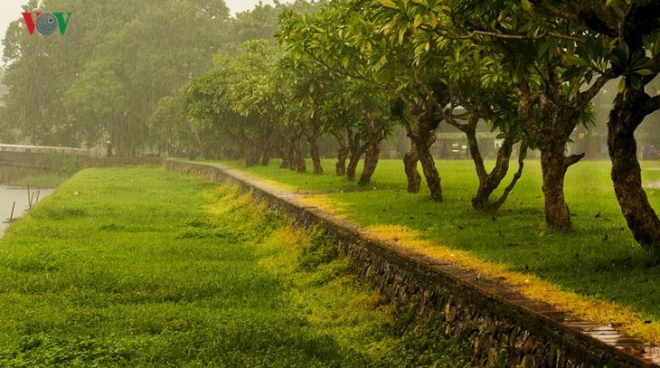 Dreamy and romantic Hue in rainy days - ảnh 3